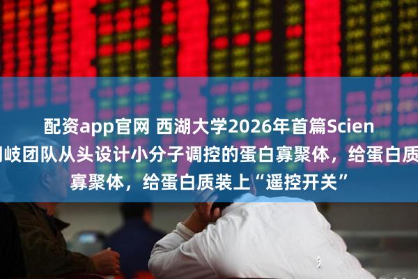 配资app官网 西湖大学2026年首篇Science：曹龙兴/解明岐团队从头设计小分子调控的蛋白寡聚体，给蛋白质装上“遥控开关”